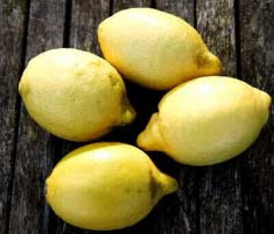 2 Organic Lemons