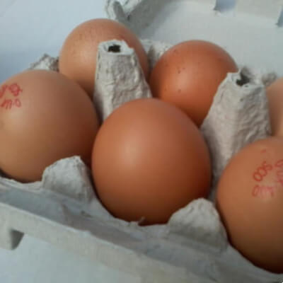 Two Dozen Organic Eggs 