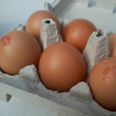 Eggs Large Organic Scottish  1 Dozen