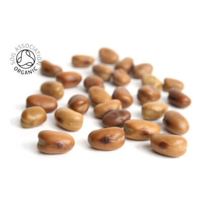 Whole Dried Fava Beans Organic