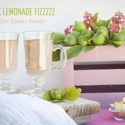 Pink Lemonade Fizzzz