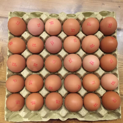 Tray Of Organic Free Range Eggs