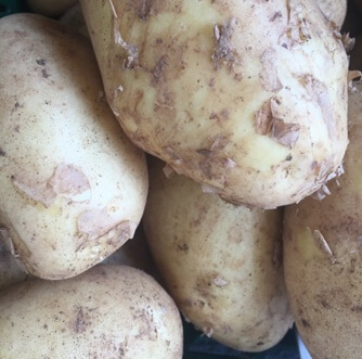 New Potato Organic Italy