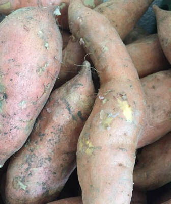 Sweet Potato Organic