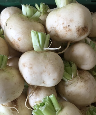 White Turnip Organic Bunch