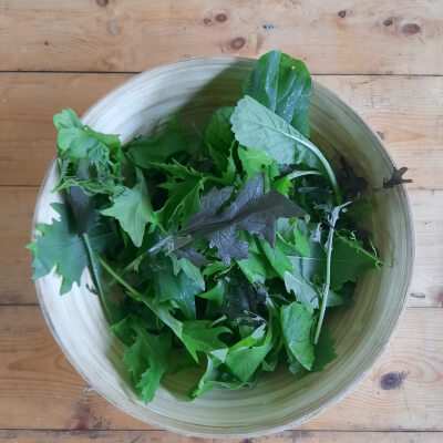 Organic Mixed Oriental Salad Leaves