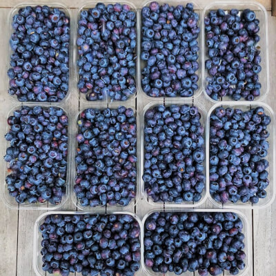 Fresh Blueberries - Class 1 - 1 Punnet - 150G 