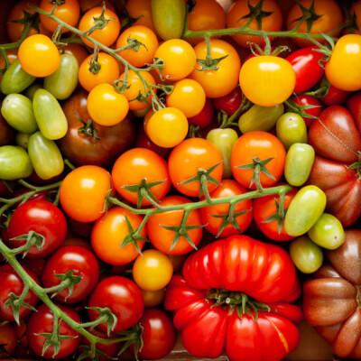 Organic Heirloom Tomatoes Grown On The Isle Of Wight