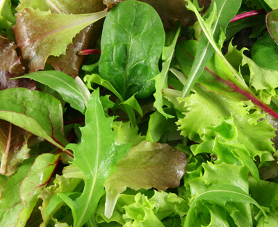 Mixed Salad Grown At Vallis Veg