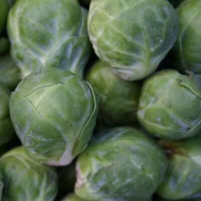 Organic Brussels Sprouts Grown In Somerset