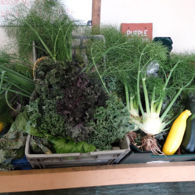 Veg Box Medium Organic And Seasonal 9 Or 10 Products