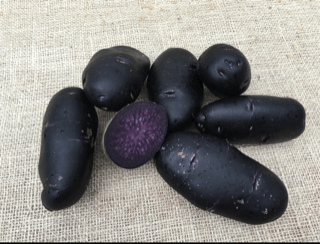 Valleyview Purple Rain Potatoes