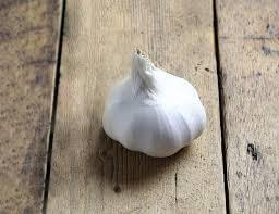 Organic Purple Garlic Bulb