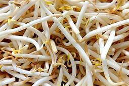 Bean Sprouts - Bagged 250G