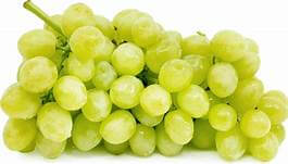 Seedless Green Grapes