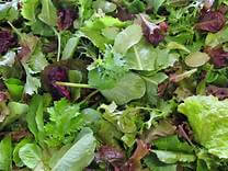 Mixed Salad Leaf Bag - 110G