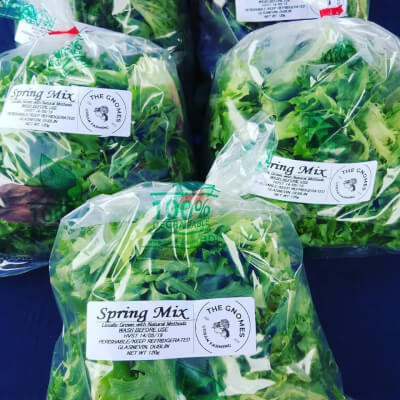 Salads - Spring Mix