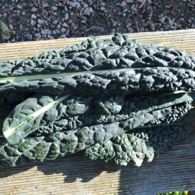 Irish Organic Kale