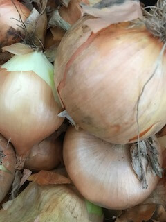 Irish Organic Onions