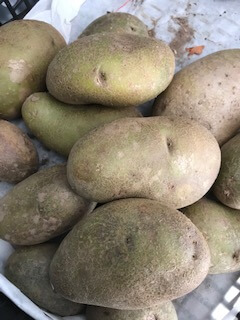 Organic Irish Potatoes