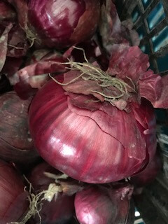 Organic Red Onions