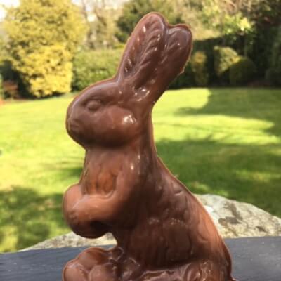Milk Chocolate Easter Rabbit With Mini Egg