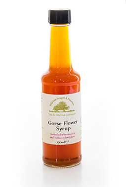 Gorse Flower Syrup