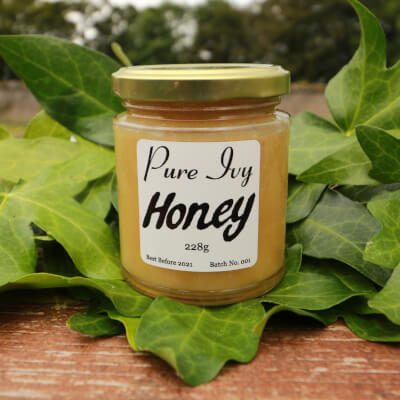 Ivy Honey