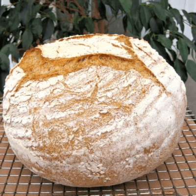 Homemade Organic Malthouse Loaf