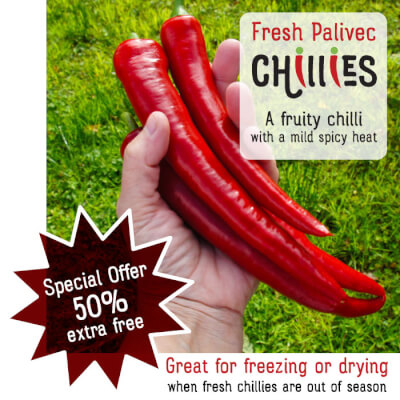 Special Offer Fresh Palivec Chillies
