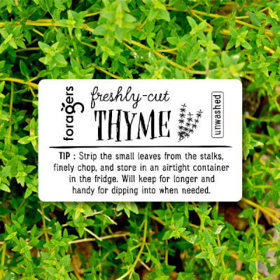 Thyme (Freshly Cut)