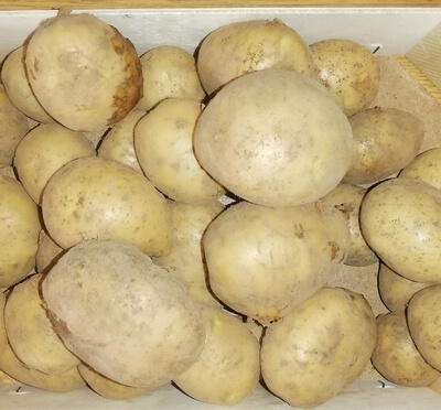 Potatoes - Vitabella