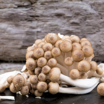150G Brown Shimejis Mushrooms