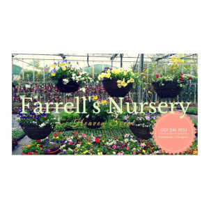 Farrell’s Focus on Plants