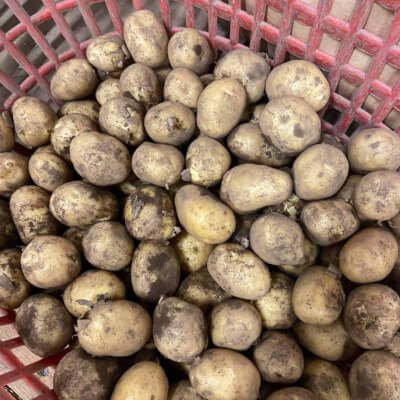 Kestrel New Potatoes From Nethermyres Farm 5Kg