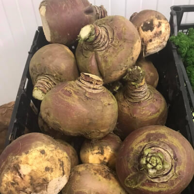 Turnip From Nethermyres Farm