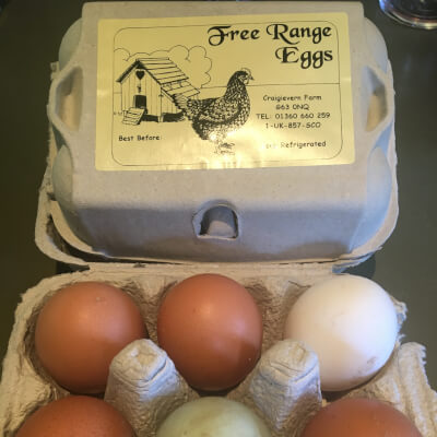 6 Free Range Hen Eggs