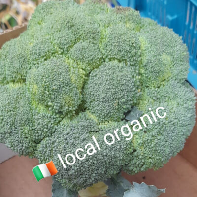 #Broccoli - Local & Organic