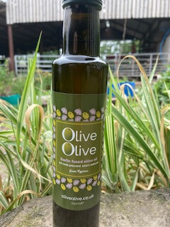 Garlic Fused Olive Oil 250Ml