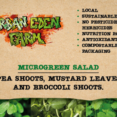 Peas Shoots, Mustard Leaves And Broccoli Microgreen Salald Mix.