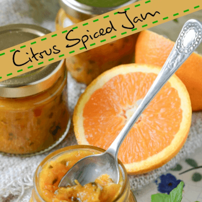 Chutney Of The Month Spicy Citrus Relish