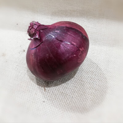 Onion - Red