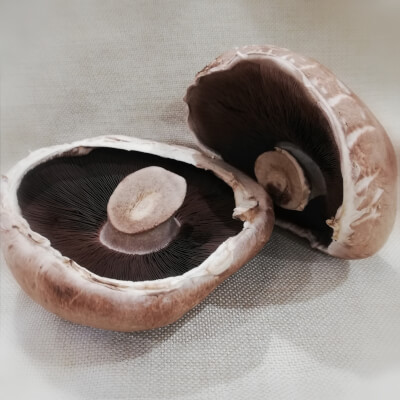 Mushroom - Portabello