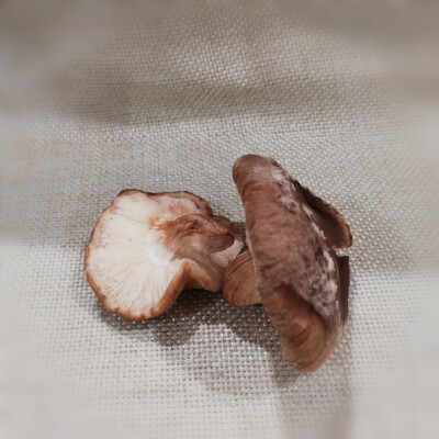 Mushroom - Shitake