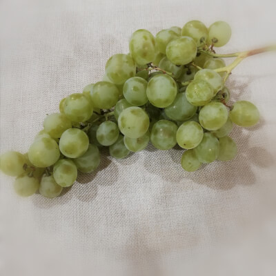 Grapes - White