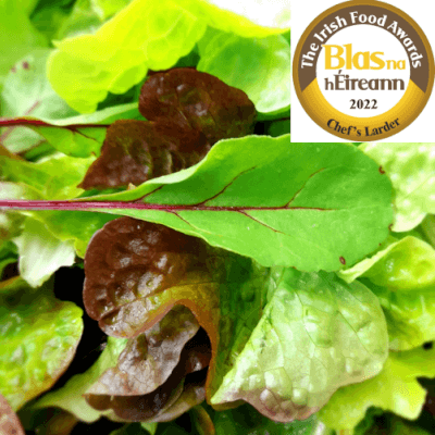 Organic Mixed Salad Leaves