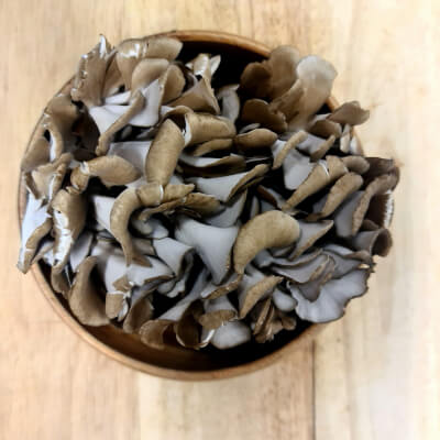 Maitake  Mushroom 