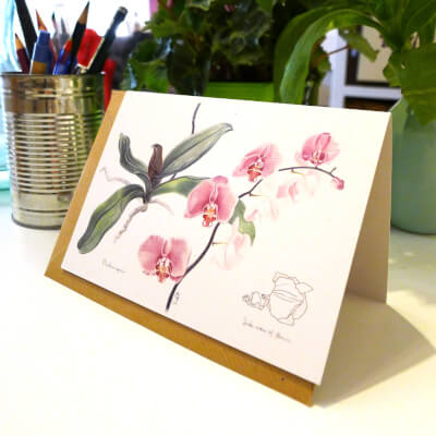 Phoalenopsis  - Greeting Cards - 100