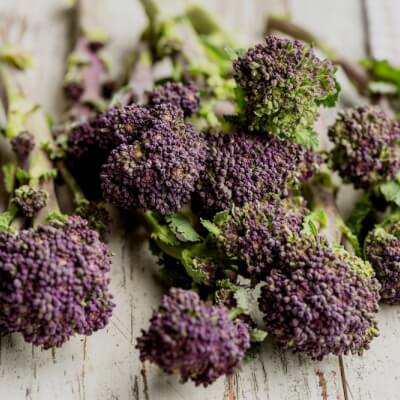 Organic Purple Sprouting Broccoli Seeds
