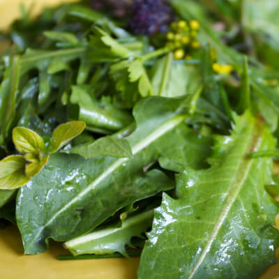 Salad Leaves 